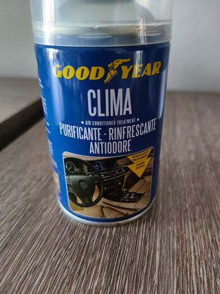 Igienizzante climatizzatore auto 