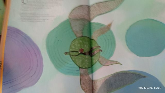 Cuento infantil Rajá nuevo