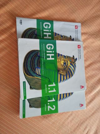 Geografía i historia 1 eso, Vicens vives