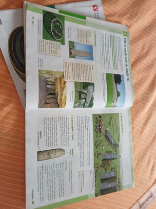 Geografía i historia 1 eso, Vicens vives