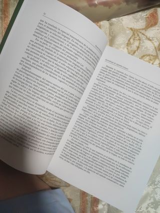 Lingüística aplicada a la enseñanza idio