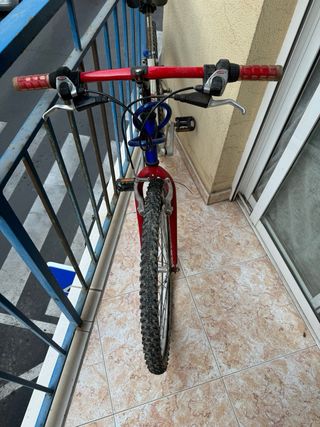 Bicicleta