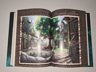 Libro Fairy Oak, Il segreto delle gemell