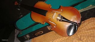 Violin pequeño