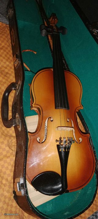 Violin pequeño