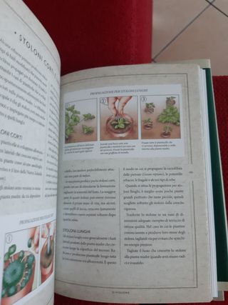 Libro giardinaggio