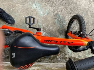 Bicicleta niño 5-8 años