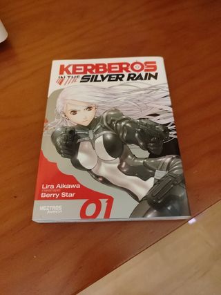 Kerberos in the silver rain