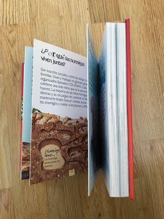 LIBRO 1.000 PREGUNTAS Y RESPUESTAS DE ANIMALES