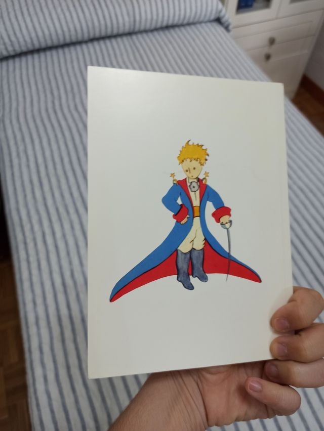 Prenota Il Piccolo Principe NUOVO