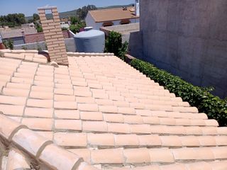 Cubiertas y tejas TLF.651429938