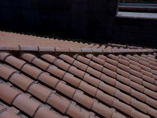 Cubiertas y tejas TLF.651429938