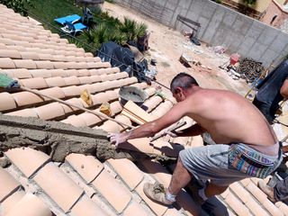 Cubiertas y tejas TLF.651429938