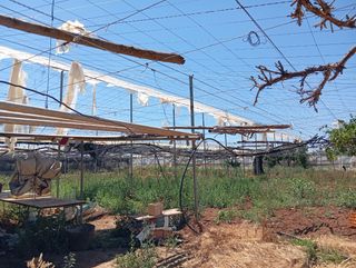 Estructura de invernadero