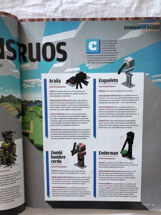 Libro Minecraft