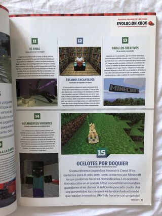 Libro Minecraft