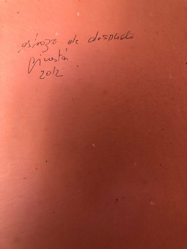 Acuarela original enmarcada. No litografia. 