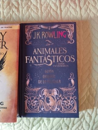 Pack Harry Potter