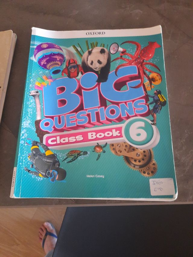 Big Questions Class Book 6