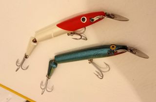 ESCHE ARTIFICIALI