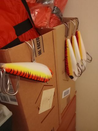 ESCHE ARTIFICIALI