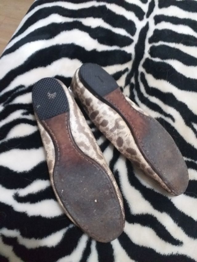 Bailarinas animal print