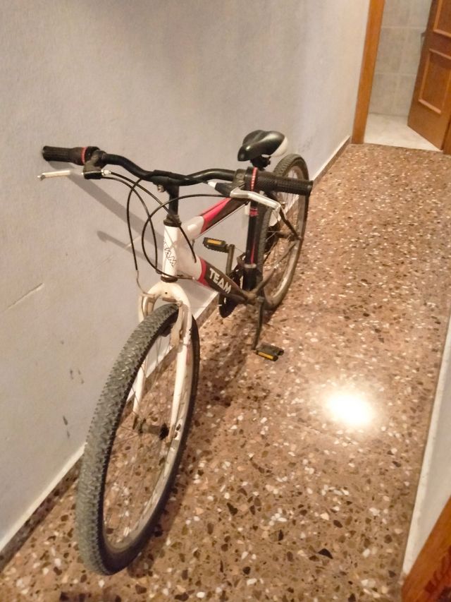 Bicicleta