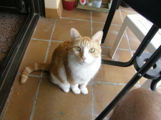 Camara de fotos digital compacta.