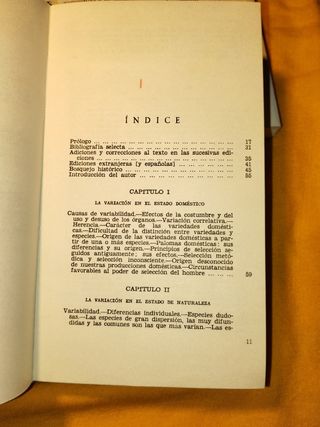 El origen de las especies/ Desde la memoria.