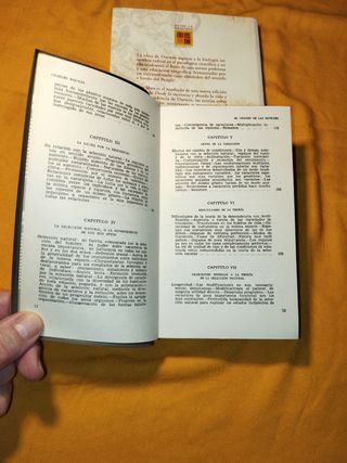 El origen de las especies/ Desde la memoria.