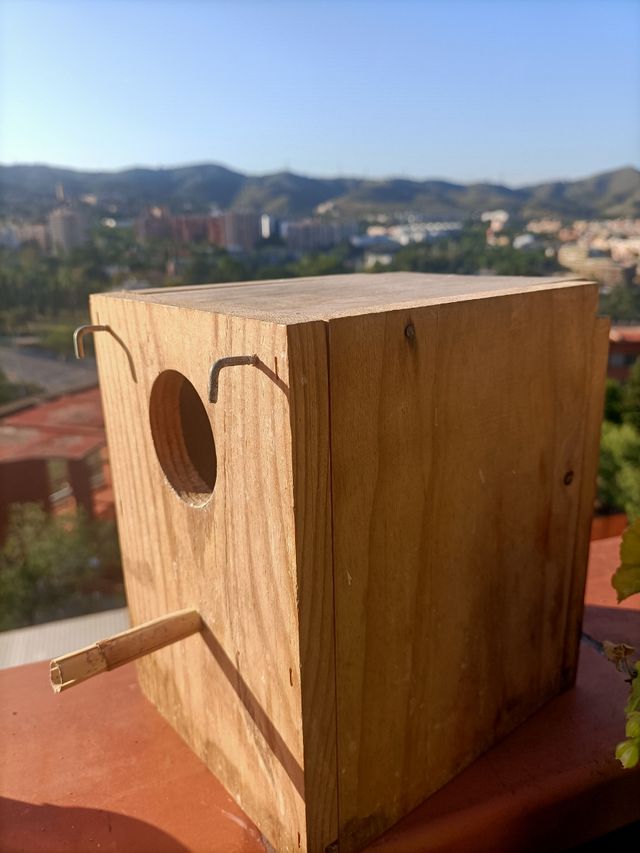 Caja nido pájaros
