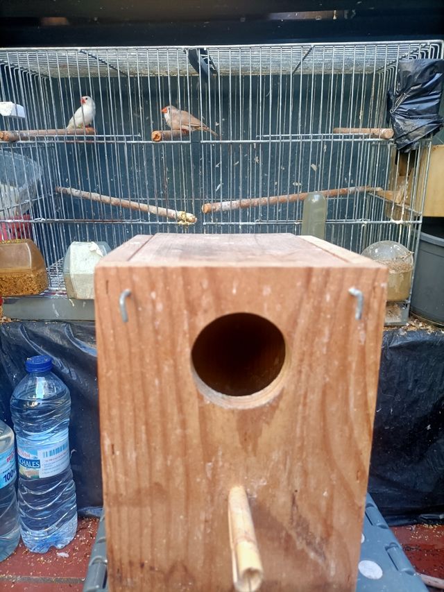Caja nido pájaros