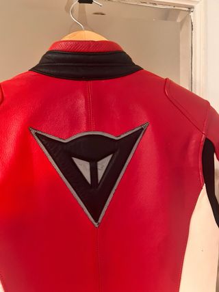 Chaqueta de cuero Dainese moto