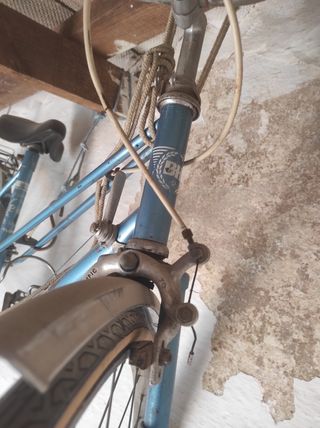 Bicicleta BH GACELA 