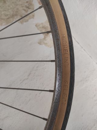 Bicicleta BH GACELA 