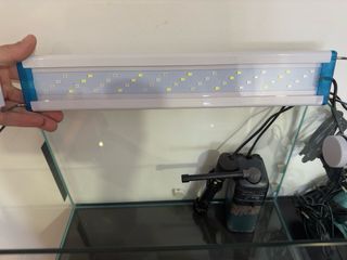 Acuario 24L con todo, vidrio curvo