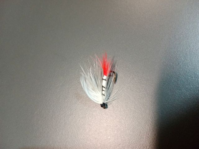 Moscas para pesca