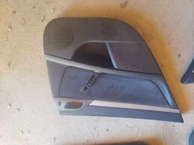 Paños puerta Peugeot 407