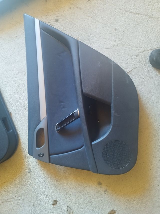 Paños puerta Peugeot 407