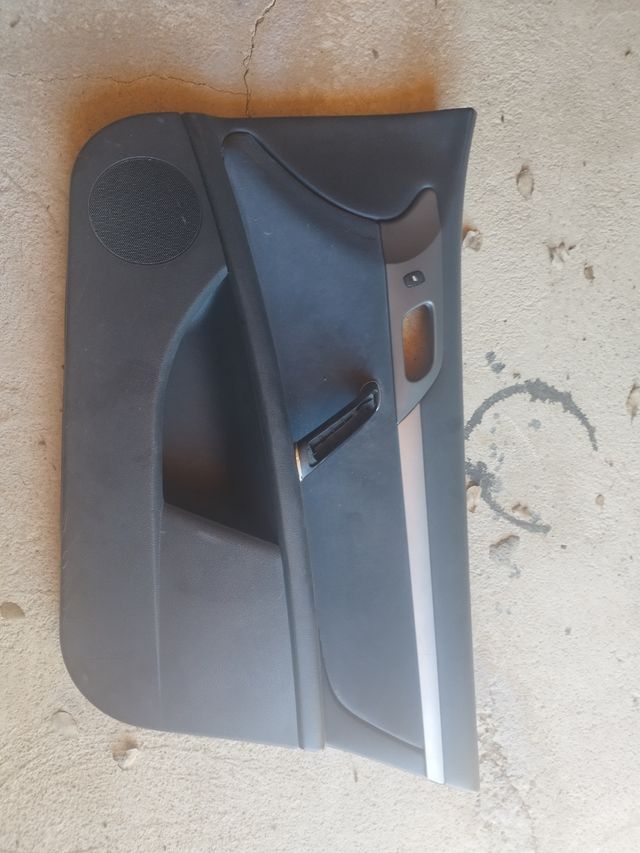 Paños puerta Peugeot 407