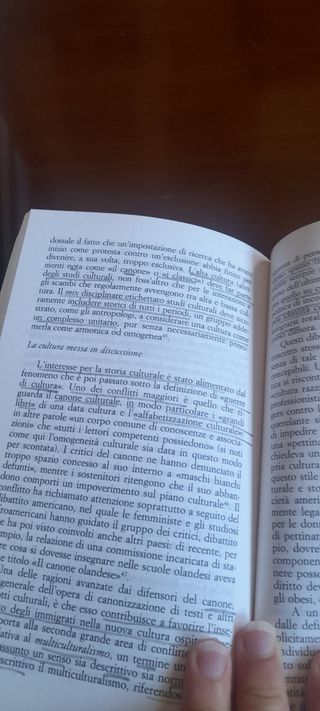 "La storia culturale"