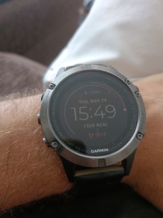 Garmin Fenix 5