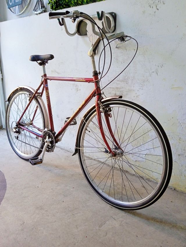 Bicicleta ciudad Batavus Navajo