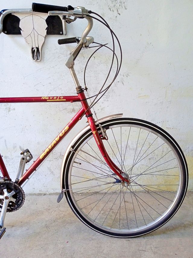 Bicicleta ciudad Batavus Navajo