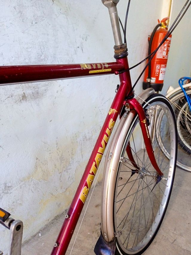 Bicicleta ciudad Batavus Navajo