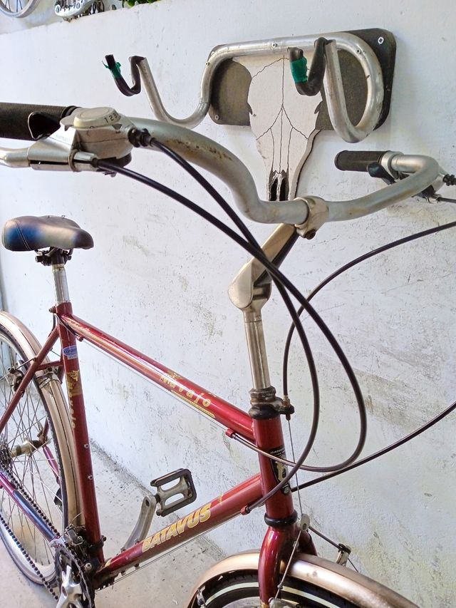 Bicicleta ciudad Batavus Navajo