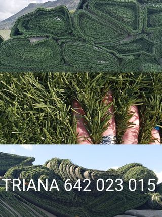💯🌱Césped artificial resistente 💯🌱