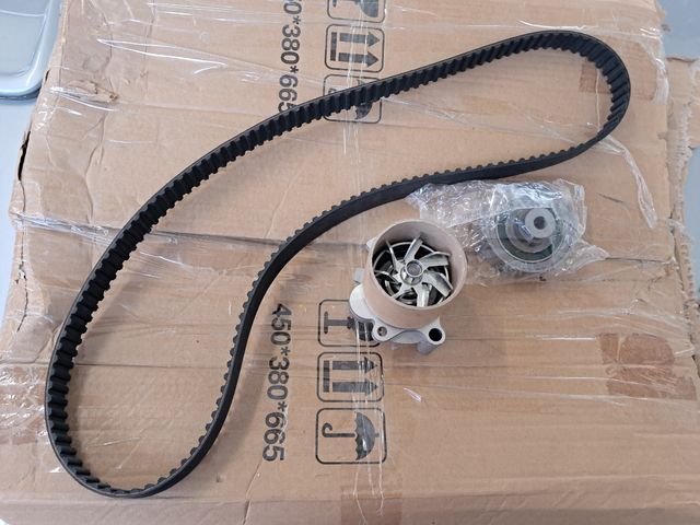 Distribución seat ibiza afn 99