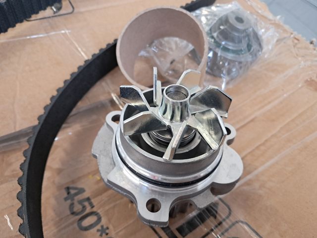 Distribución seat ibiza afn 99