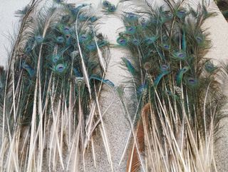 Decoración plumas pavo real